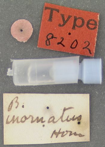 Media type: image;   Entomology 8202 Aspect: labels